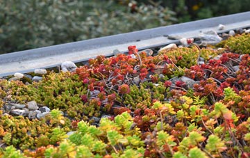 the cost of Bloomfield green roof installation