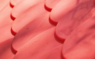 Bloomfield plastic roof costs