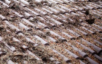 Bloomfield roof cleaning companies