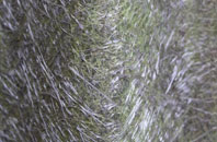 Bloomfield fibreglass roof work